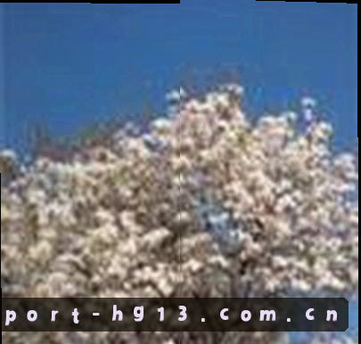 王磊